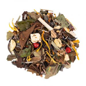 Mangue Gingembre (Bio)